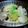 クックP5RCM1☆'s cooksnap of when they made ✨とろ〜り白菜とシメジのマヨネーズ炒め✨.