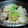 クックP5RCM1☆'s cooksnap of when they made ✨とろ〜り白菜とシメジのマヨネーズ炒め✨.