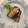 ラクラクダ's cooksnap of when they made 簡単！★鮭の煮おろし★.