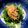 ♫mannie♫'s cooksnap of when they made 水菜とほうれん草のなめ茸和え.