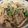 鈴＊花's cooksnap of when they made 筍と小松菜のたらこバターパスタ.