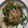 クックC2GECR☆'s cooksnap of when they made わさびの花のおひたし（辛くしたい）.