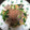 にむばすしゅたーぜん's cooksnap of when they made 小松菜と厚揚げの炒め物.