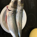 yummmmyyyy's cooksnap of when they made ハサミだけ、簡単な鯖のさばき方.