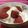 マルルル's cooksnap of when they made ぷるぷる♪みるくぷりん♪.