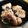 kumaGORO56's cooksnap of when they made 簡単！うますぎ注意☆椎茸のチーズ肉巻き.