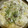 JUGE1's cooksnap of when they made ルー無しで❀白菜ときのこの和風クリーム煮.