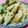 クックSJ0Y9V☆'s cooksnap of when they made うど・・の天ぷら♪.
