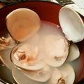 ladyamo's cooksnap of when they made ❀ひな祭り❀はまぐりのお吸い物.