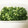 ＊つぶこしあんこ＊'s cooksnap of when they made 簡単☆冷凍保存するネギの水気を切る方法.