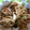 ファルコん☆'s cooksnap of when they made 上海炒麺（上海風焼きそば）.