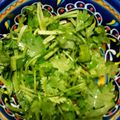 信楽パグ's cooksnap of when they made 存分にパクチーサラダ.
