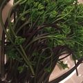 黒めんぼう's cooksnap of when they made わらびのアク抜き(保存版).