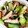 クック8UWLBC☆'s cooksnap of when they made いかのあっさりオイスターソース炒め.