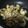 しょくぱんまん＊'s cooksnap of when they made 豚ロース焼き肉のたれソテー.