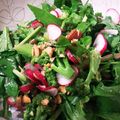 マキロン１'s cooksnap of when they made ルッコラとラディッシュのサラダ.