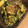 sasakit's cooksnap of when they made さっと簡単！コシアブラの卵炒め.