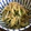 UMEKOママ's cooksnap of when they made ・もやしとかいわれのゴマサラダ・.
