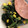 クックZ8J4H4☆'s cooksnap of when they made ほうれん草・コーンと鮭のバター炒め.