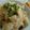 ☆shizu's cooksnap of when they made 新玉ねぎの炊き込みご飯.