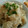 ☆shizu's cooksnap of when they made 新玉ねぎの炊き込みご飯.