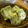 低カロ探検隊's cooksnap of when they made お弁当にも！あおさの卵焼き.