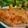 てとりすさん's cooksnap of when they made 簡単、美味しい！鮭のニンニクバター焼き.