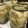隣のたまこ's cooksnap of when they made 筍の水煮保存.