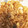 Sat2513's cooksnap of when they made 大根と揚げの炒め物.