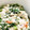 フミココ's cooksnap of when they made 簡単☆春菊の白和え.