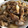 ゆりはるみ♡'s cooksnap of when they made 夕飯の定番♡豚こまと長ネギのしょうが焼き.