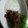 Rikabonママ's cooksnap of when they made すき焼き肉の山芋とろろ絡め.