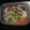 クックL15FBW☆'s cooksnap of when they made 豚肉とキャベツ・人参の味噌ゴママヨ炒め.