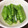卵せんべい's cooksnap of when they made さやえんどうのだし煮.