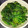 クックmacha☆'s cooksnap of when they made 基本の副菜 ほうれん草のごま和え.