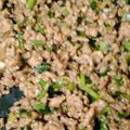 よっちゃんもち★'s cooksnap of when they made 栄養満点！ニラ入り肉味噌.