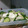 kohaku_01's cooksnap of when they made 中華風簡単きゅうりとカブの漬物.