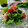 ｸﾏﾘｴ's cooksnap of when they made アイスプラントとタコと新玉ねぎのマリネ風.