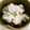 urararara's cooksnap of when they made オクラのツナマヨショー和え.