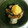 mikazuchi's cooksnap of when they made 居酒屋風！さば缶おろし添え.