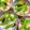 ふたごゆき's cooksnap of when they made 高野豆腐・長芋・竹輪・椎茸の煮物♪.