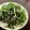 Bu〜san's cooksnap of when they made 水菜とひじきのツナサラダ。わさび風味.