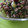 クック9WENVR☆'s cooksnap of when they made かぶの葉と豚ひき肉のエスニック炒め♪.