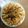 amadokoro's cooksnap of when they made お酒のつまみ☆らっきょう味噌炒め.