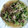 クックOYTSP1☆'s cooksnap of when they made 牛モモ肉と豆苗の中華炒め.