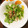 ☆アンシェル☆'s cooksnap of when they made 大根の間引き菜のサラダ.