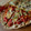 kimie0113's cooksnap of when they made FPで簡単！ピザ生地.