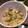 ♡ひな祭り♡'s cooksnap of when they made レンジでホタテの稚貝の酒蒸し.