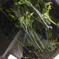 Miliam2014's cooksnap of when they made 簡単放置！わらびのアク抜き.