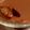 みぃ＊＊＊'s cooksnap of when they made カラメルコーヒープリン.